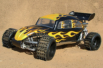 StadiumBeetle3.jpg
