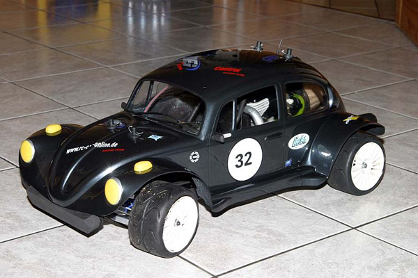 car_beetle1_onr_stefanm.jpg