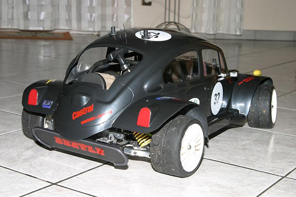 car_beetle2_onr_stefanm.jpg