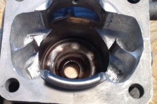 IMG_1820 (800x533).jpg