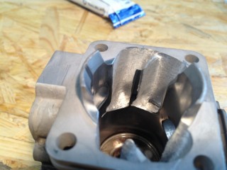 IMG_1815 (800x600).jpg