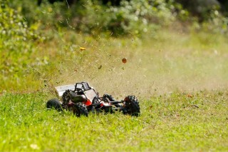 ImageUploadedByTapatalk 21375653228.670016.jpg