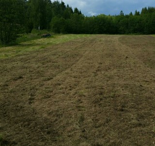 2016-06-16 21.34.01.jpg