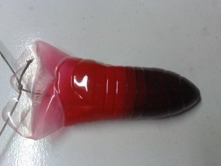 201102062658.jpg