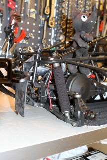 IMG_1614 (427x640).jpg