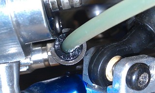 IMAG0485.jpg